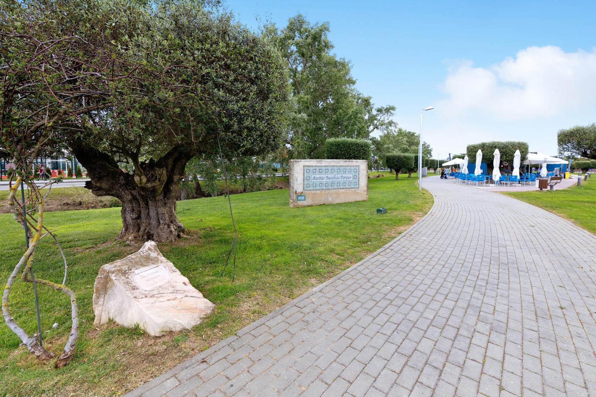 Little Paradise 25 Min From Lisbon Azeitao Exterior photo